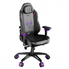 Крісло для геймерів 1stPlayer F.A.S.T.