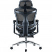 Крісло офісне Sihoo Doro C300 Pro Mesh Black with footrest (Doro-C300-Pro-M101-JT)