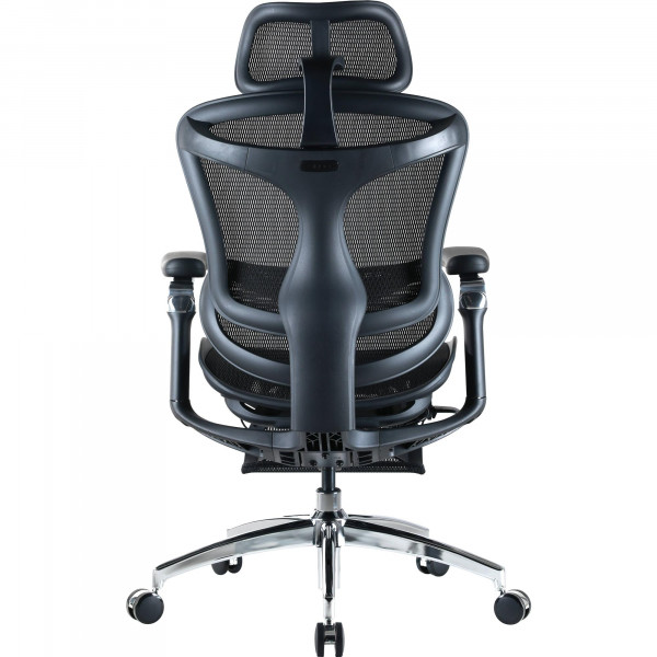 Крісло офісне Sihoo Doro C300 Pro Mesh Black with footrest (Doro-C300-Pro-M101-JT)