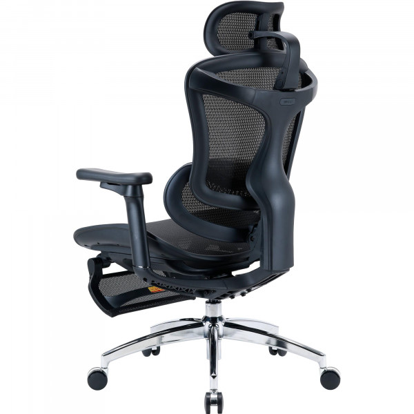 Крісло офісне Sihoo Doro C300L Mesh Black with footrest (Doro-C300L-A3-101-JT)