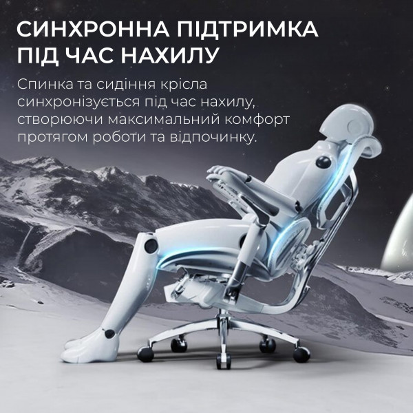 Крісло офісне Sihoo Doro S300 Mesh Light Grey (S300-M202)