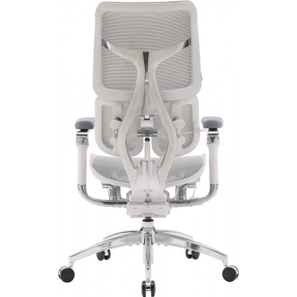 Крісло офісне Sihoo Doro S300 Mesh Light Grey (S300-M202)