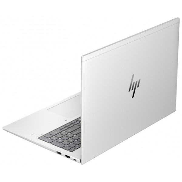 Ноутбук HP EliteBook 665 G11 (8Z715AV_V3) Silver