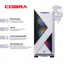 Персональний комп`ютер COBRA Advanced (A45.32.S5.55.22543)
