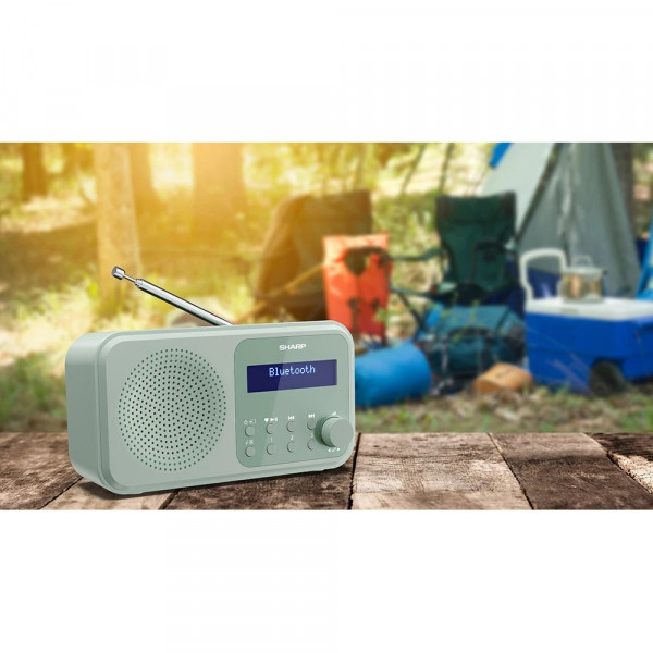 Радіоприймач Sharp DR-P420 Green (DR-P420(GN))