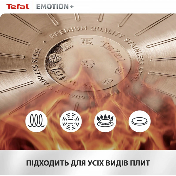 Сковорода Tefal Emotion+ 25 см (E3383855)