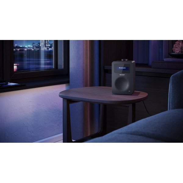 Радіоприймач Sharp DR-430 Black (DR-430(BK))