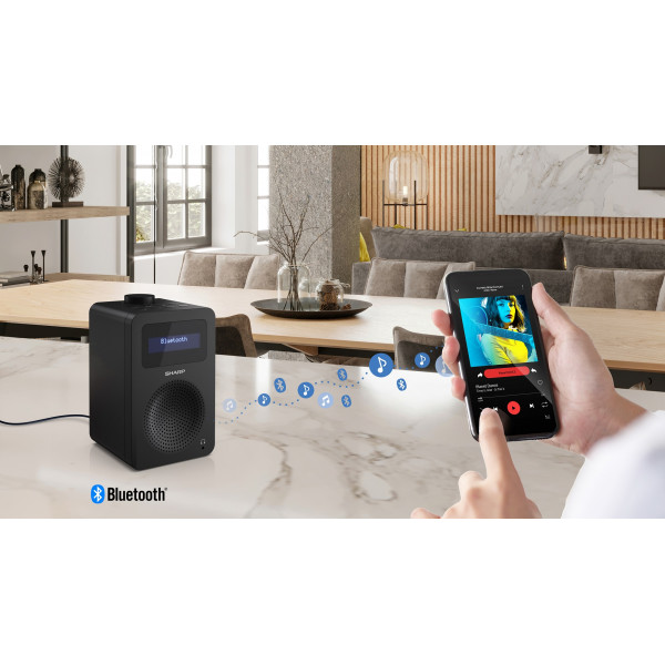 Радіоприймач Sharp DR-430 Black (DR-430(BK))