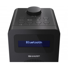 Радіоприймач Sharp DR-430 Black (DR-430(BK))