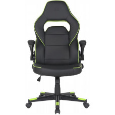 Крісло для геймерів 2E Gaming Hebi Black/Green (2E-GC-HEB-BK)