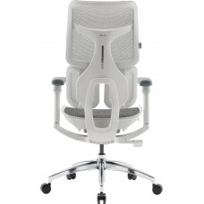Крісло офісне Sihoo Doro S100 Mesh White (S100-M302)