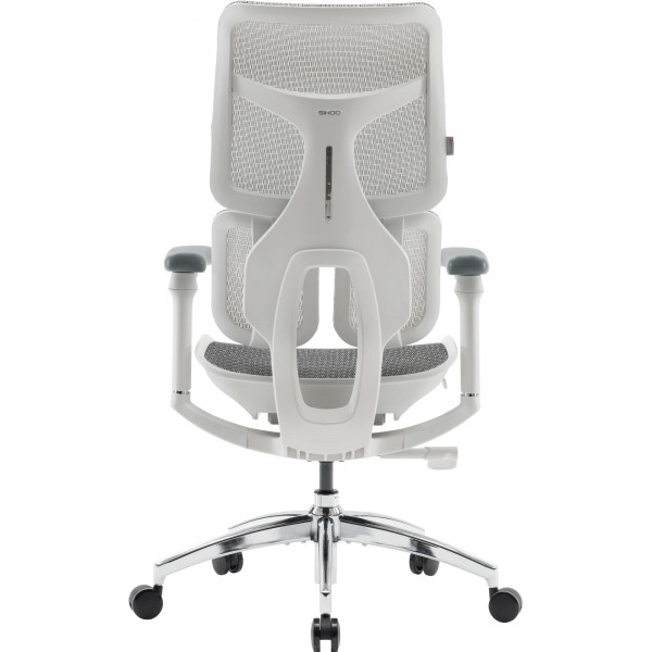 Крісло офісне Sihoo Doro S100 Mesh White (S100-M302)