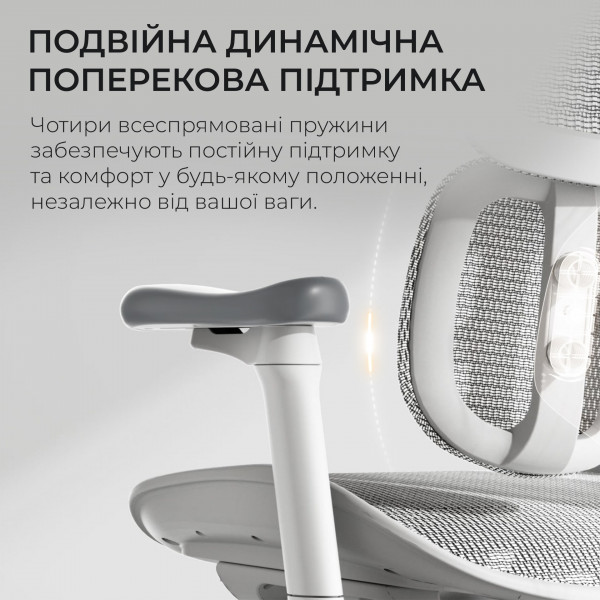 Крісло офісне Sihoo Doro S100 Mesh White (S100-M302)