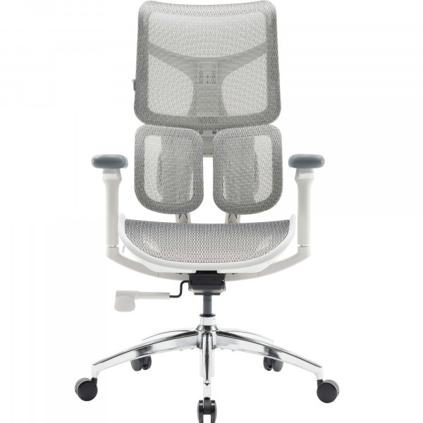Крісло офісне Sihoo Doro S100 Mesh White (S100-M302)