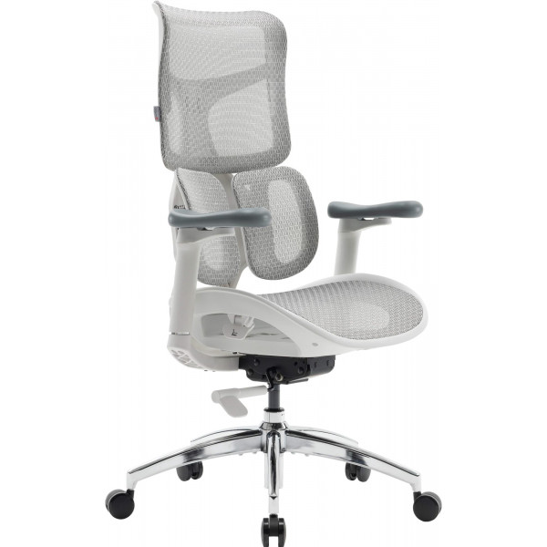 Крісло офісне Sihoo Doro S100 Mesh White (S100-M302)