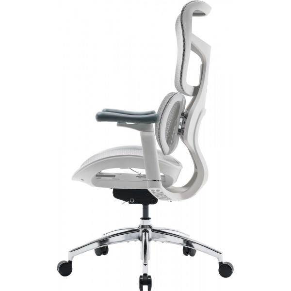 Крісло офісне Sihoo Doro S100 Mesh White (S100-M302)