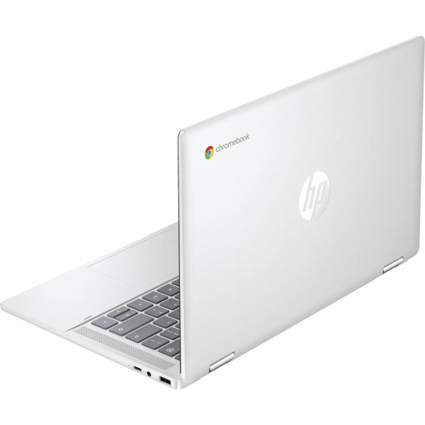 Ноутбук HP Chromebook x360 (198828598608) Silver