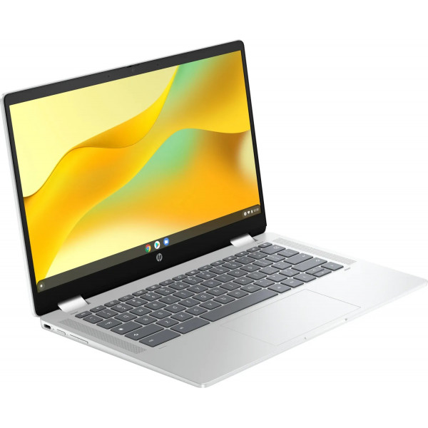 Ноутбук HP Chromebook x360 (198828598608) Silver