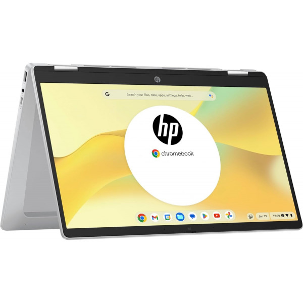 Ноутбук HP Chromebook x360 (198828598608) Silver