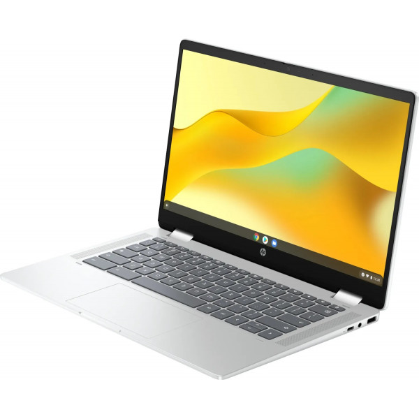 Ноутбук HP Chromebook x360 (198828598608) Silver
