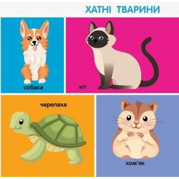 Смарт-книги. 100 перших слів