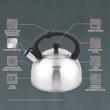 Чайник Tefal Duetto+ 2.5 л (N4210310)