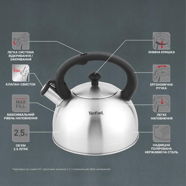 Чайник Tefal Duetto+ 2.5 л (N4210310)