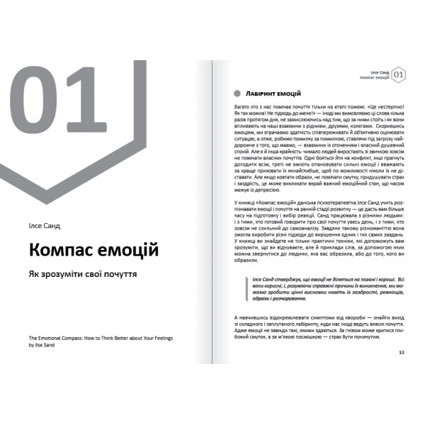 Емоції. Здоровий і щасливий рік. Збірник самарі + Аудіокнижка