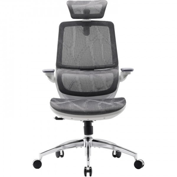 Крісло офісне Sihoo M59AS Mesh Gray (M59AS-M301)