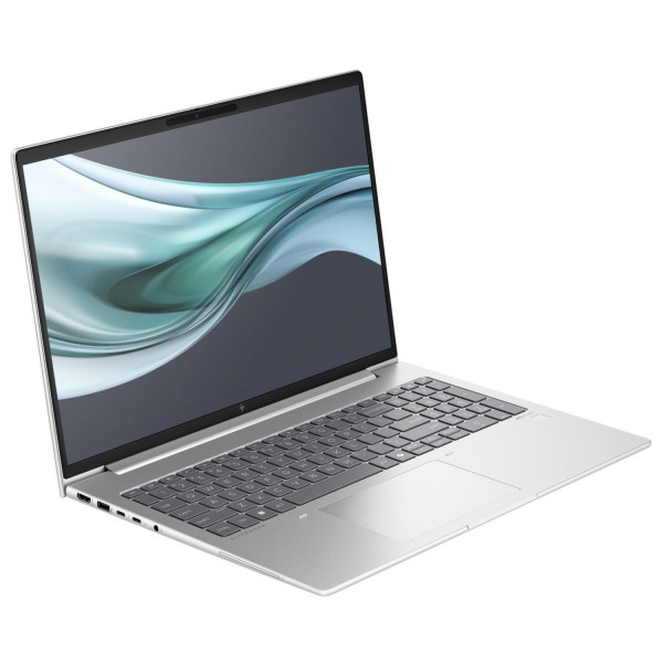 Ноутбук HP EliteBook 665 G11 (8Z715AV_V1) Silver