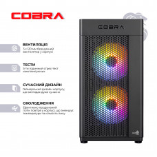 Персональний комп`ютер COBRA Advanced (A55.16.S5.55.22285)