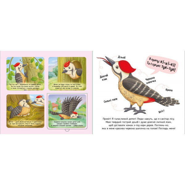 Познайомся і погладь! Лісові тварини