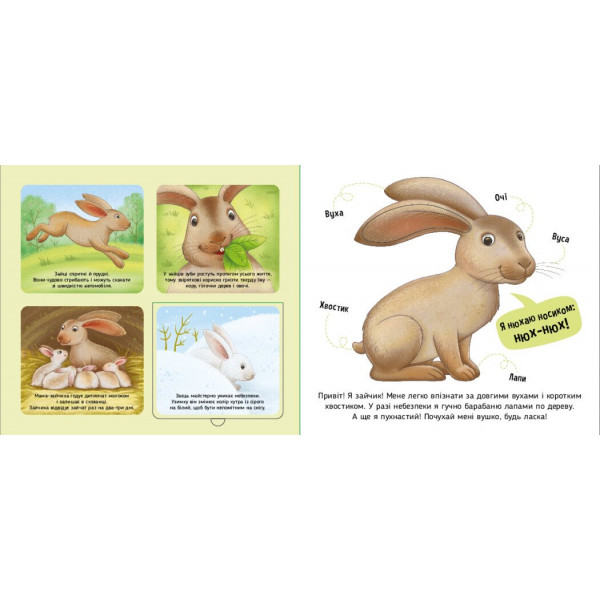 Познайомся і погладь! Лісові тварини