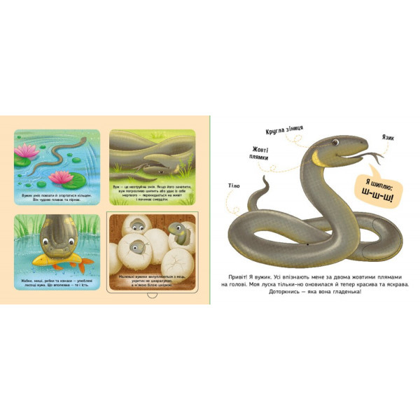 Познайомся і погладь! Лісові тварини