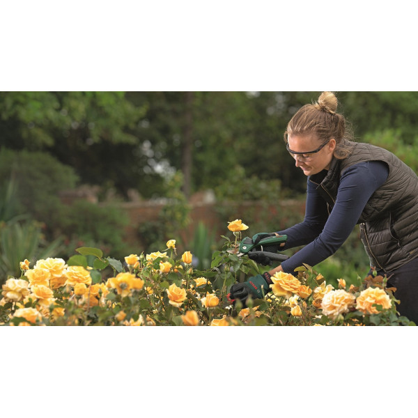 Секатор акумуляторний Bosch EasyPrune (0.600.8B2.102)
