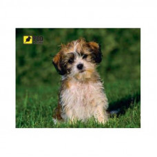 Килимок для миші Podmyshku Кудлате щеня