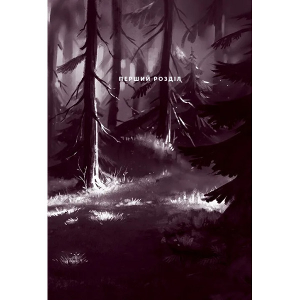 Північне сяйво. Книга 2: Вікінги й Оракул / Малін Фалк