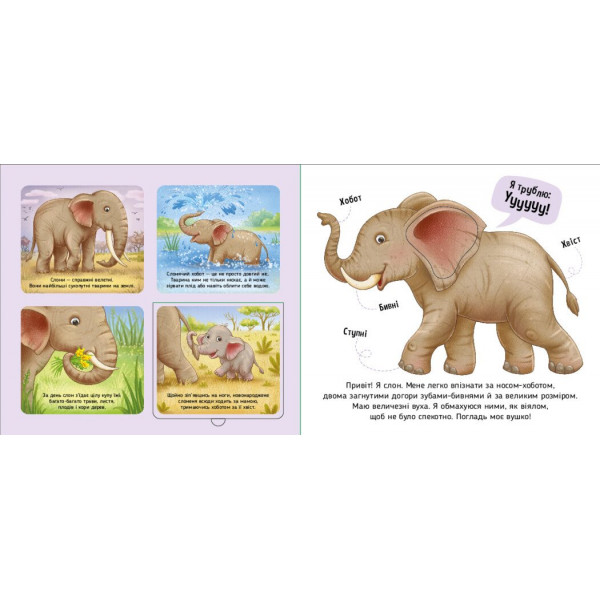 Познайомся і погладь! Тварини світу