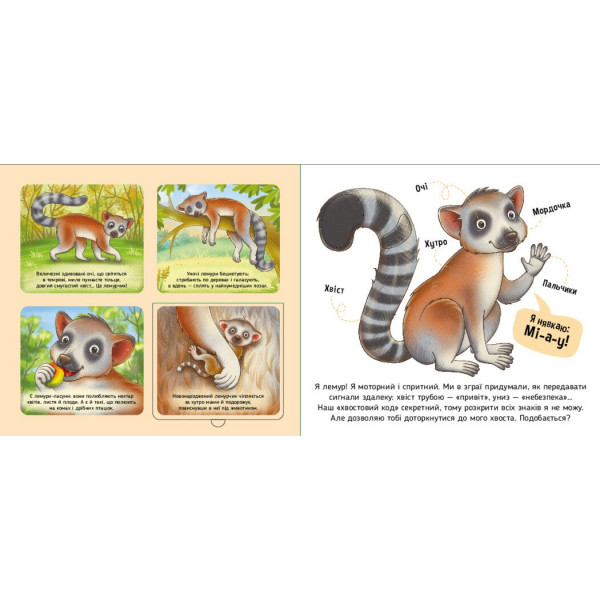 Познайомся і погладь! Тварини світу