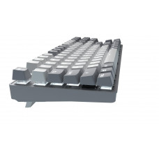 Клавіатура GamePro Genesis Metallic MK110G Outemu Red Swithes USB Gray