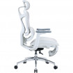 Крісло офісне Sihoo Doro C300L Mesh White with footrest (Doro-C300L-A3-102-JT)