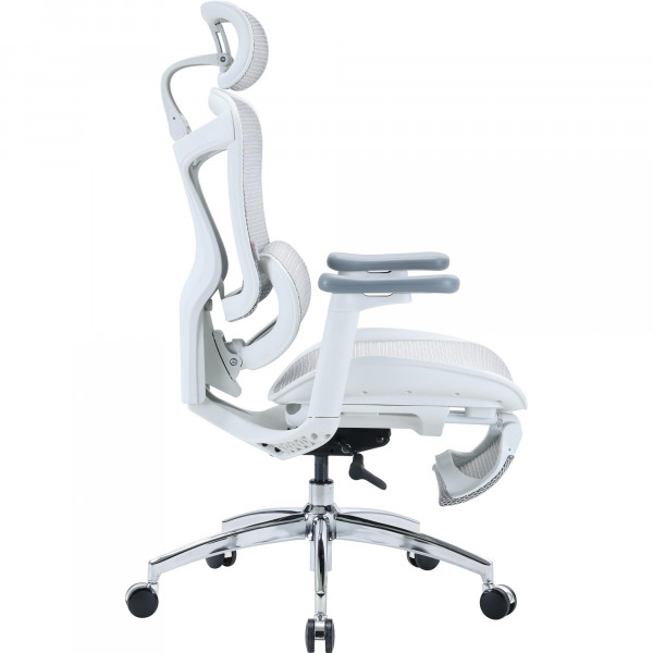 Крісло офісне Sihoo Doro C300L Mesh White with footrest (Doro-C300L-A3-102-JT)