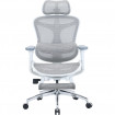 Крісло офісне Sihoo Doro C300L Mesh White with footrest (Doro-C300L-A3-102-JT)