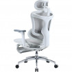 Крісло офісне Sihoo Doro C300L Mesh White with footrest (Doro-C300L-A3-102-JT)