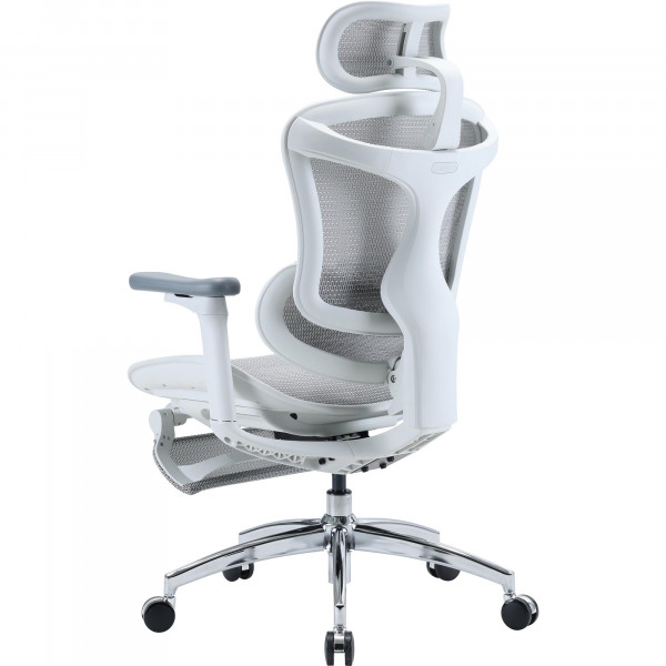 Крісло офісне Sihoo Doro C300L Mesh White with footrest (Doro-C300L-A3-102-JT)