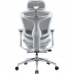 Крісло офісне Sihoo Doro C300L Mesh White with footrest (Doro-C300L-A3-102-JT)