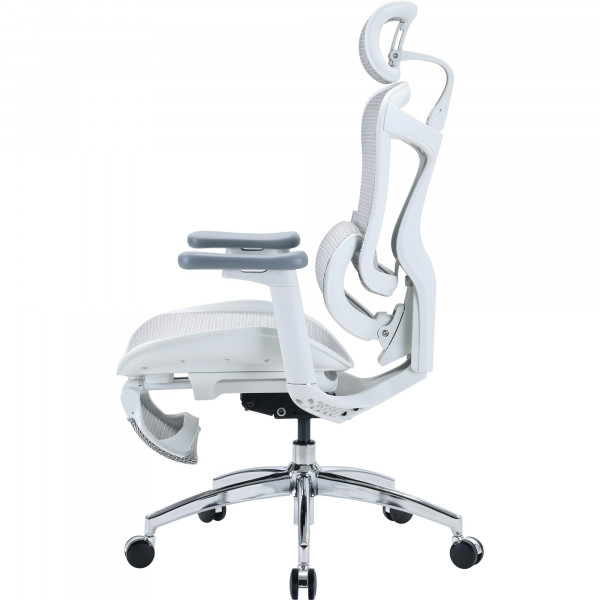 Крісло офісне Sihoo Doro C300L Mesh White with footrest (Doro-C300L-A3-102-JT)
