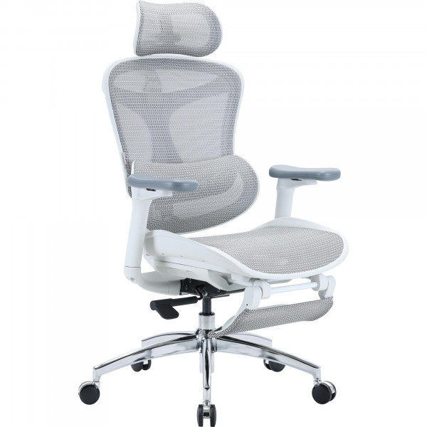 Крісло офісне Sihoo Doro C300L Mesh White with footrest (Doro-C300L-A3-102-JT)