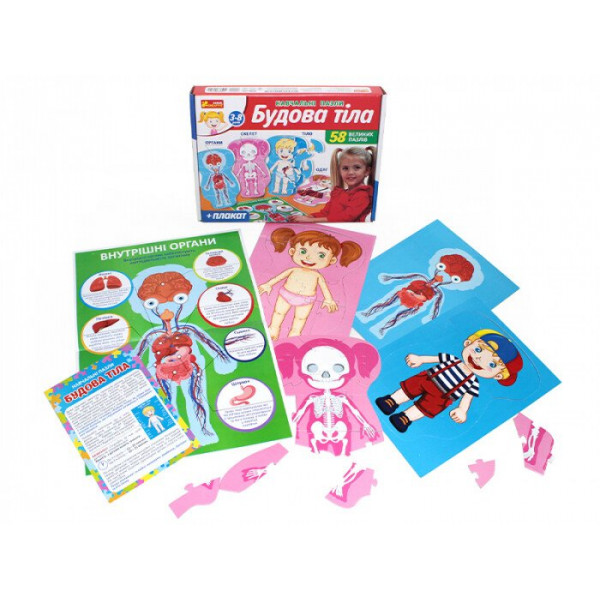 Навчальні пазли. Будова тіла