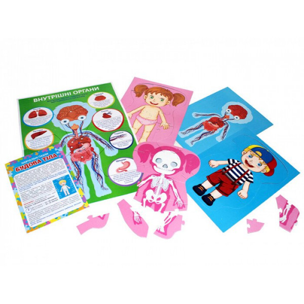Навчальні пазли. Будова тіла